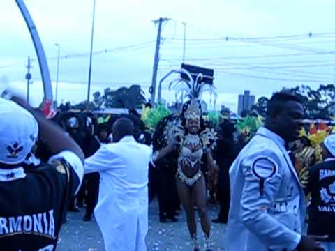 Vai-Vai batería, Carnaval São Paulo, 2011 - archive footage